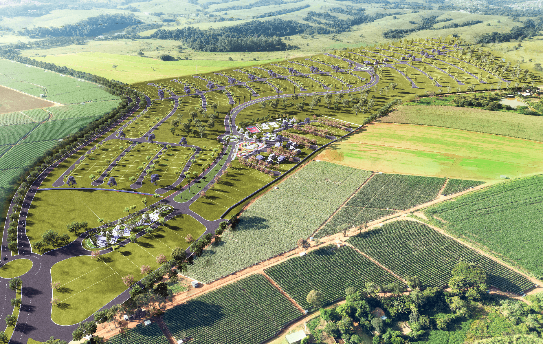 Parque dos Pinheiros galeria de fotos 4